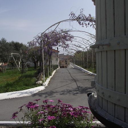 Riviera Apartments Pietra Ligure Eksteriør billede
