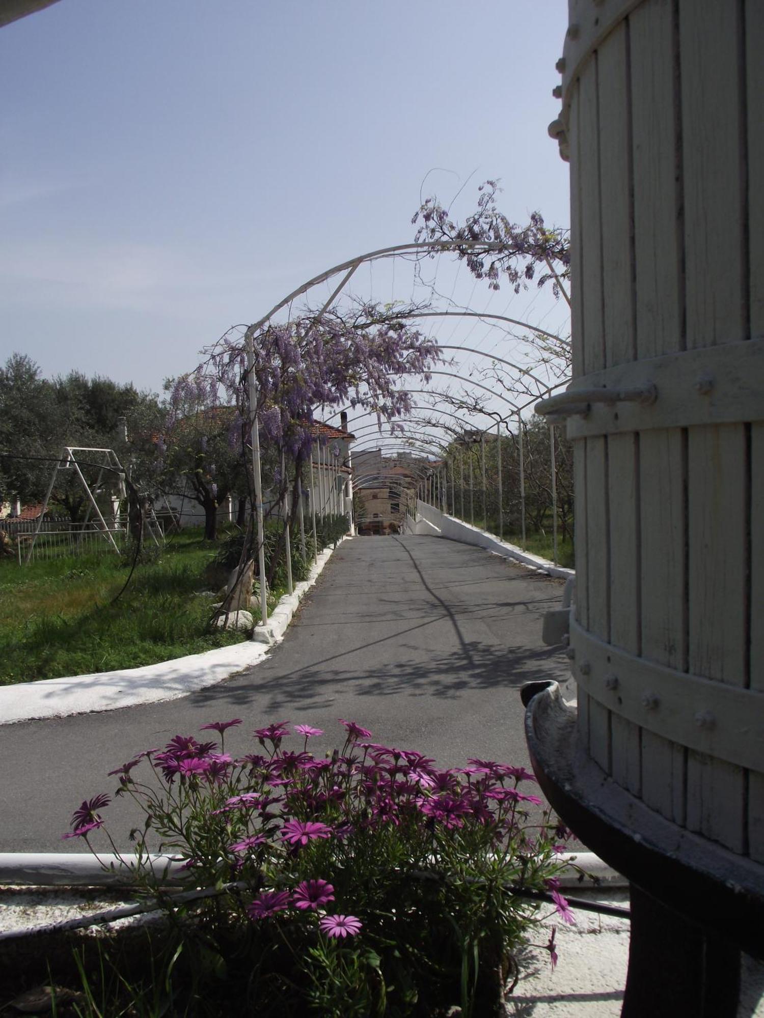 Riviera Apartments Pietra Ligure Eksteriør billede